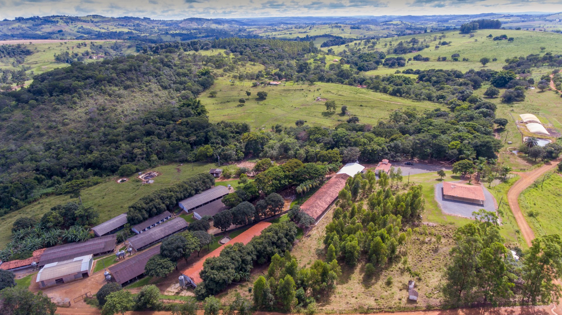 Granja Abelhas — Produção de Leitões