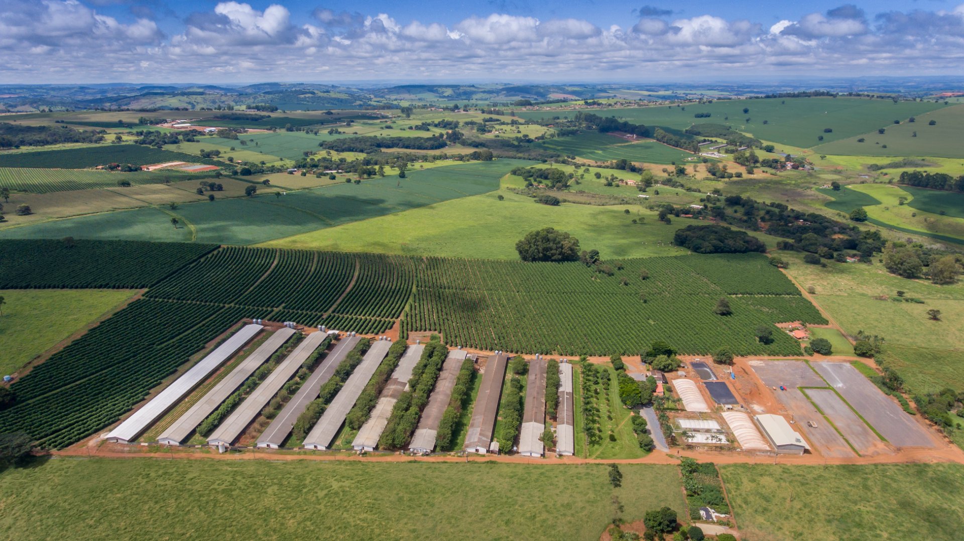 Granja Esperança — Ciclo Completo