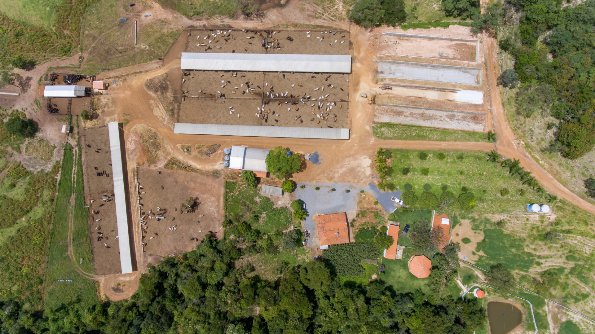 Fazenda Ribeirão da Mata — Confinamento Bovino